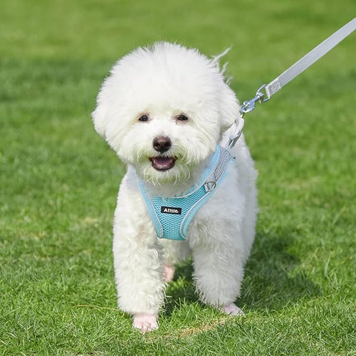 AIITLE Easy Walk Dog Harness and Leash Set - Pet Supply No Pull, Step in Adjustable Pet Harnesses with Padded Vest for Summer, No Choke Over, Easy to Put on Medium Dogs Blue L