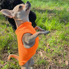 JACKO & CO - Fleece Vest Dog Sweater with Leash Ring - Soft, Warm & Lightweight Pullover Coat for Small & Medium Dogs, Puppies & Cats - Cozy Fall/Winter/Spring Pet Jacket (Pumpkin, X-Small 2-4lbs)