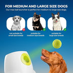 ALL FOR PAWS Automatic Ball Launcher for Dogs Interactive Puppy Pet Ball Outdoor Thrower Fetch Machine, 6 Balls Included (2.5 inch) for Medium to Large Dogs, Rechargeable Battery
