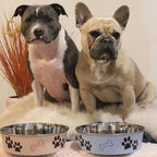 Loving Pets Bella Dog Bowls- Stainless Steel Dog & Cat Bowls - Spill Proof Dog Food Bowl, Cat Bowl, Puppy Essentials & Pet Supplies Great for Home & Travel (Medium 20-35 lbs, Murano Blue)