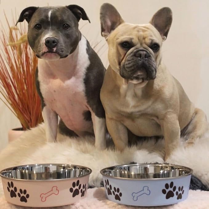 Loving Pets Bella Dog Bowls- Stainless Steel Dog & Cat Bowls - Spill Proof Dog Food Bowl, Cat Bowl, Puppy Essentials & Pet Supplies Great for Home & Travel (Medium 20-35 lbs, Murano Blue)