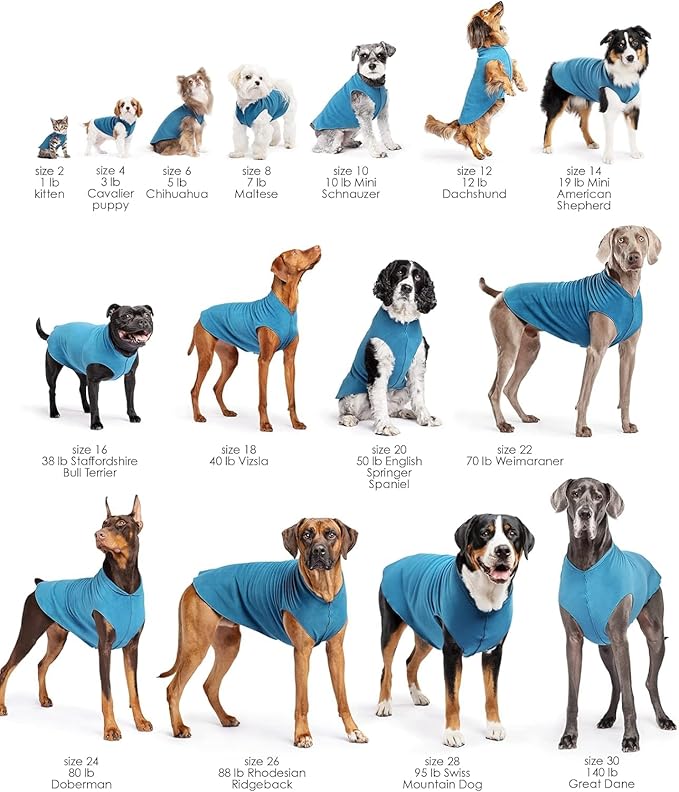Goldpaw Stretchy Fleece Jacket for Small Dogs - Super Soft, Warm Dog Sweater - Pet Sweater Vest for Fall and Winter - Canine Clothes Made in The USA - Machine Washable - Rose - Size 14