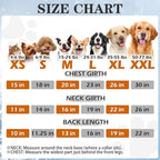 EXPAWLORER Dog Hoodie Fleece Sweater Vest, Hooded Dog Sweatshirt Fall Winter Pet Clothes with Leash Hole, Sleeveless Warm Cozy Puppy Clothing for Cat Small Medium Large Dogs Girl Boy, Blue L