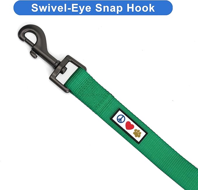 Pawtitas Personalized Dog Leash - Embroidered Custom Leash with Pet Name & Phone Number, 6 ft Long, Small, Lush Green