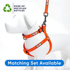 Pawtitas 6 FT Recycled Dog Leash With Reflective Stitched Thread - Small, Made From Plastic Bottles Collected From Oceans - Orange