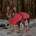IECOii Extra Warm Reflective Adjustable Dog Jacket - Dog Winter Coat with Buckle Fleece Turtleneck for Cold Weather, Small - Extra Large Dogs
