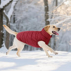 ASENKU Dog Winter Coat - Waterproof Windproof Dog Jacket, Warm Snowproof Doggie Puffer Vest for Cold Weather, Lightweight Snow Coats for Small Medium Large Dogs(L, Red)
