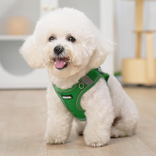 AIITLE Dog Harness, Summer No-Pull Cat Harness with a Leash, Adjustable Reflective Dog Vest, Cat Harness Escape Proof, Outdoor Walking, Camping for Extra Small Dogs and House Cats Green XXXS