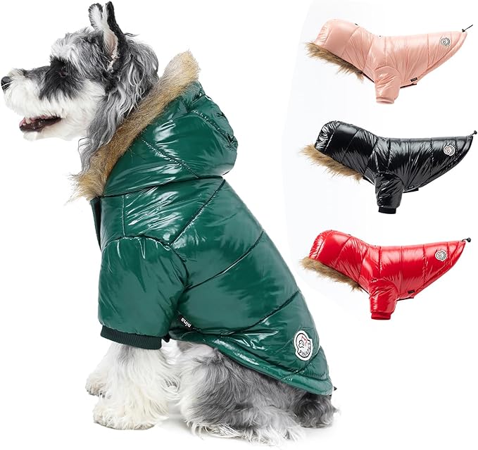 PINA Dog Winter Coat with Large Faux Fur Hood, Windproof and Warm, Suitable for Small to Large Dogs, Green, XXL