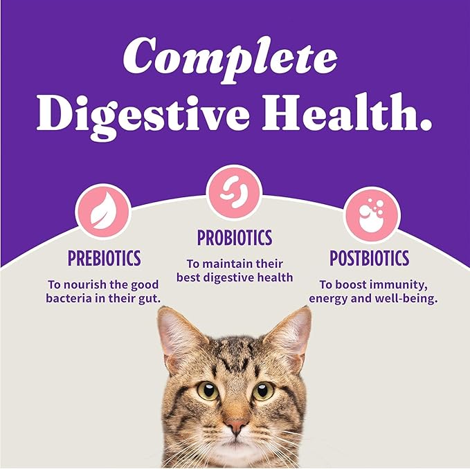 Halo Holistic Kitten Food, Wild Caught Salmon & Whitefish Recipe, Grain Free Dry Cat Food, Complete Digestive Health, 6 lb Bag