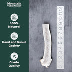Mountain Valley Elk Antlers for Dogs - 100% Natural & Organic Chew for Aggressive Chewers, No Odor, No Mess, Long Lasting - Wild-Foraged Naturally Shed Antlers in USA - Grade A, Split Small (3 Pack)