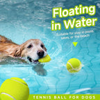 HETOO Tennis Balls for Dogs: 6 Pack 2.5 Inch Dog Balls- Dog Tennis Ball- Outdoor Dog Toys Dogs Water Toys- Dog Toys Ball for Medium Large Dogs for Training Exercise Fetch- Yellow