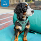 Best Pet Supplies Voyager Step-in Air Harness - All Weather Mesh, Reflective, No Pull Harness for Dogs, Cats - Secure with Hook & Loop Fastener, Buckle, Double D-Rings - Tone, XL