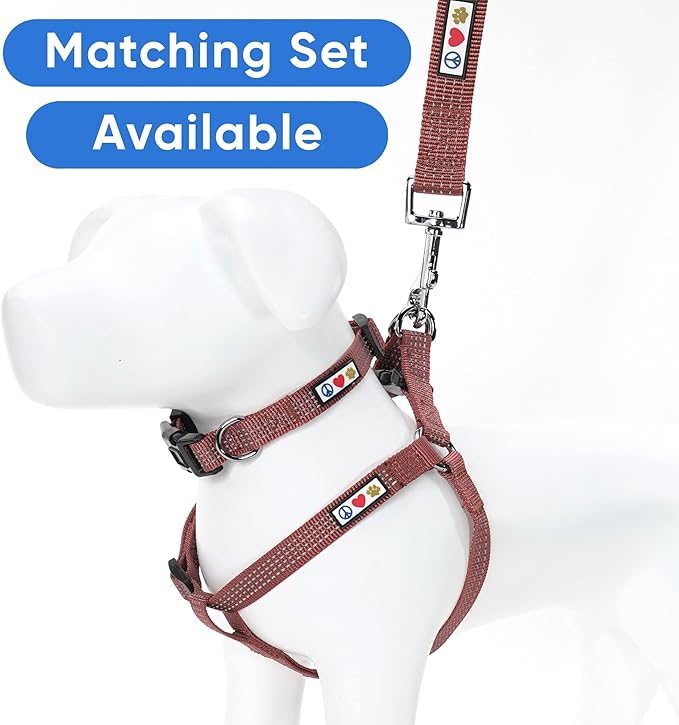Pawtitas 6 FT Pet Puppy Leash Reflective Dog Leash Comfortable Handle Highly Reflective Threads Heavy Duty Dog Training Leash Available as a 6 ft Small Dog Marsala Leash