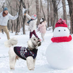 SCENEREAL Dog Sweater for Small Sized Dog Girls Boys - Turtleneck Pullover Winter Puppy Clothes Christmas Outfits, Pet Sweatshirt Apparel Knitwear for Dachshund, Yorkie, Chihuahua S