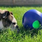 Jolly Pets Teaser Ball Dog Toy, Large/8 Inches, Blue, Model Number: 1508 BL