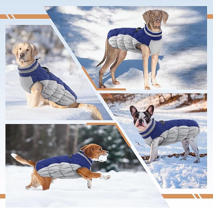 Small Dog Coat,Dog Jackets for Small Dogs,Warm Winter Jacket, Puppy Coat with Harness Built in,Waterproof Dogs Jacket,Puppy Cold Weather Coats,Pet Winter Clothes Snowsuit Shih Tzu Bichon,Blue