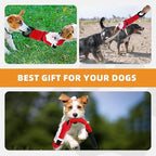 KOOLTAIL Christmas Dog Toys, Tough Plush Dog Chew & Squeaky Toys with Crinkle Paper, Interactive Training & Tug of War Puppy Teething Toy for Indoor Outdoor Play for Small Medium Large Dogs, Santa