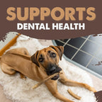 Mighty Paw Split Elk Antlers for Dogs (Sourced in The USA) | 1 Whole Monster 8"+ Long Lasting Bones for Aggressive Chewers - Naturally Shed Split Deer Antler for Dogs - Low Odor Chews (Pack of 1)