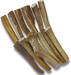 WhiteTail Naturals - Deer Antlers for Extra Small Dogs (12 Pack) Natural Dog Antler Chews for Puppies & Small Aggressive Chewers - Long Lasting Chew Bones