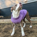Gooby - Stretch Fleece Vest, Pullover Fleece Vest Jacket Sweater for Dogs, Lavender, Medium