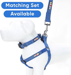 Pawtitas 6 FT Pet Puppy Leash Reflective Dog Leash Comfortable Handle Highly Reflective Threads Heavy Duty Dog Training Leash Available as a 6 ft Small Dog Blue Leash