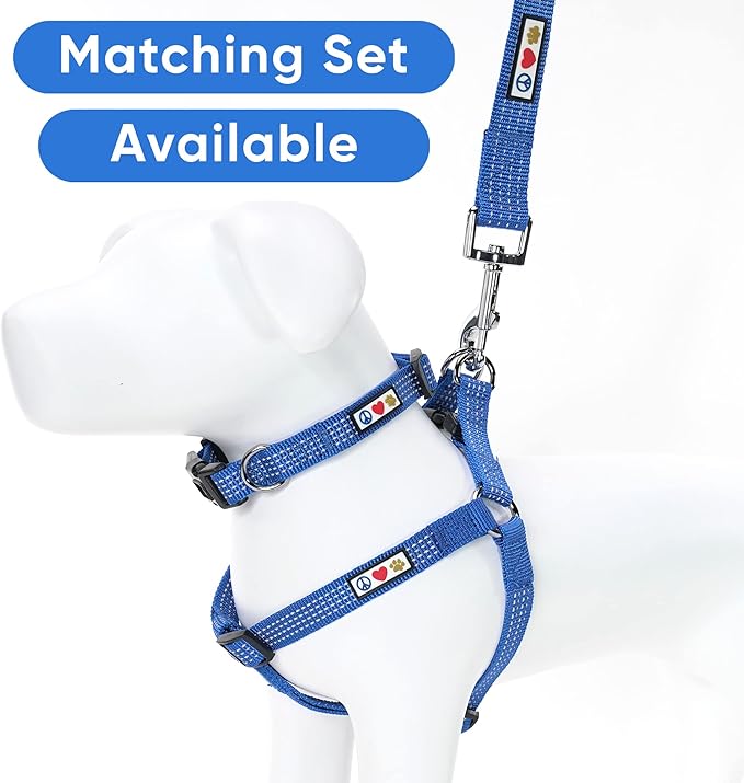 Pawtitas 6 FT Pet Puppy Leash Reflective Dog Leash Comfortable Handle Highly Reflective Threads Heavy Duty Dog Training Leash Available as a 6 ft Small Dog Blue Leash