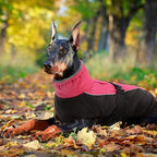 IDOMIK Dog Winter Coat, Reflective Waterproof Dog Jacket for Cold Weather, Warm Pet Coats for Small Medium Large Dogs, High Collar Doggy Fleece Snow Jacket, Winter Vest with Adjustable Buckle,S