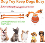 Interactive Dog Toys for Small Dogs,Peppy Pet Ball for Dogs,Puppy Toys,Active Rolling Dog Ball,Dog Toys to Keep Them Busy for Daily Training