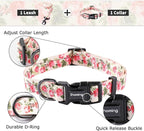 Ihoming Puppy Collar and Leash Set for Daily Outdoor Walking Running Training, Pink Flowers Design for Extra Small Boys Girls Dogs Cats Pets, XS-Up to 10LBS