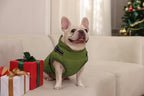 Aiboria Dog Jackets for Winter Windproof Waterproof 2 in 1 Outfit Cold Weather Coat Dog Vest Harness Puppy Winter Warm Jacket Green XXL