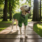 Basic Dog Hoodie, Premium Dog Sweater Pullover, Soft & Comfy Cotton Pet Clothes Hoodies with Hat and Leash Hole, Doggy Puppy Sweatshirt Coat for Small Medium Large Dogs - Army Green (Small)