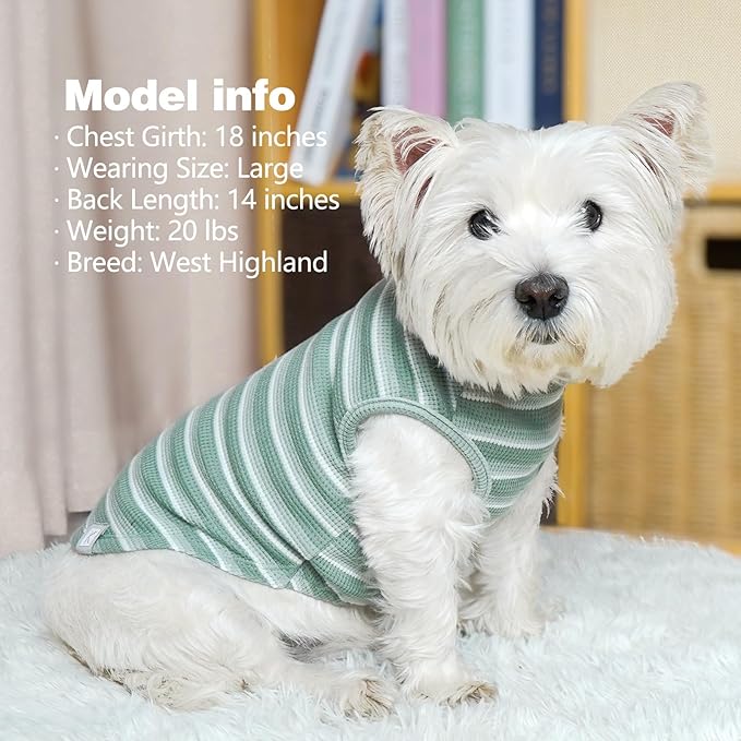 KYEESE 2Pack Waffle Dog Shirts for Small Dogs Stretchy T-Shirts Lightweight Tank Top Sleeveless Striped Vest Breathable Cat Tee, Medium, Green+Striped