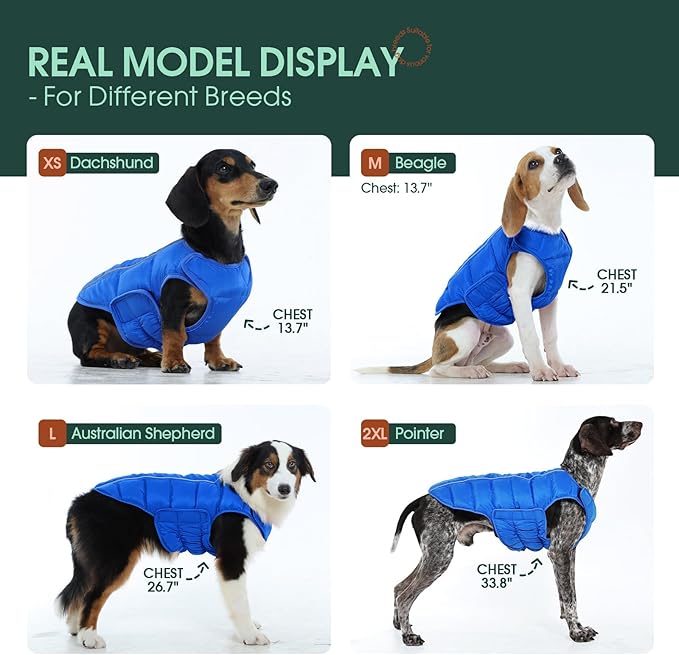 Kuoser Dog Puffer Jacket Warm Dog Coat for Small Dogs, Windproof Reflective Pet Padded Vest Cold Weather Clothes Puppy Snowsuit with Hook & Loop Coats, Easy On/Off, Blue S