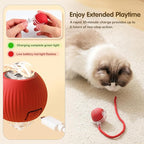 Interactive Cat Toy Ball, 2025 Upgraded Cat Toys for Bored Indoor Adult Cats, Self Rolling Interactive Dog Ball Toy, Automatic Smart Pet Toy Ball Kitten Toys (Gray)