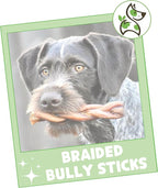 Nature Gnaws Braided Bully Sticks for Dogs 5-6" (3 Count) - Long Lasting for Small and Medium Dogs - Natural Beef Dog Chew Bones - Rawhide Free