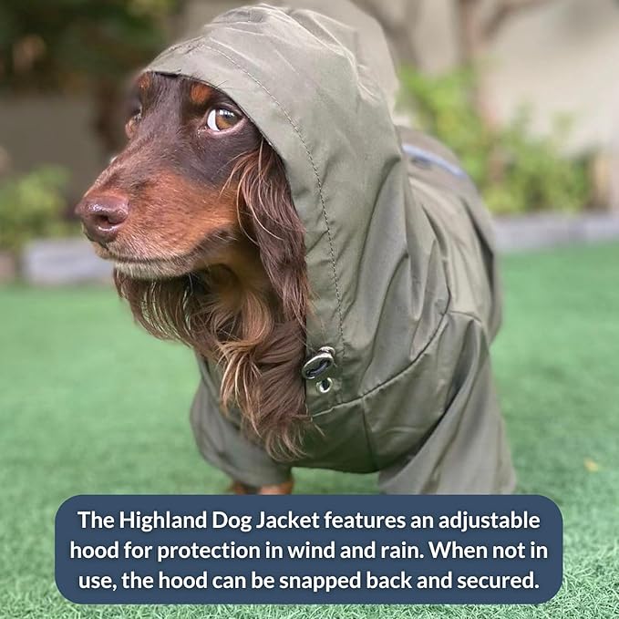 DJANGO Highland Dog Jacket & Raincoat – Water-Repellent, Lined Dog Coat with Hood, Adjustable Fit & Harness Hole – Lightweight Rain & Wind Jacket for Small & Medium Dogs up to 30 lbs (Blue, Medium)