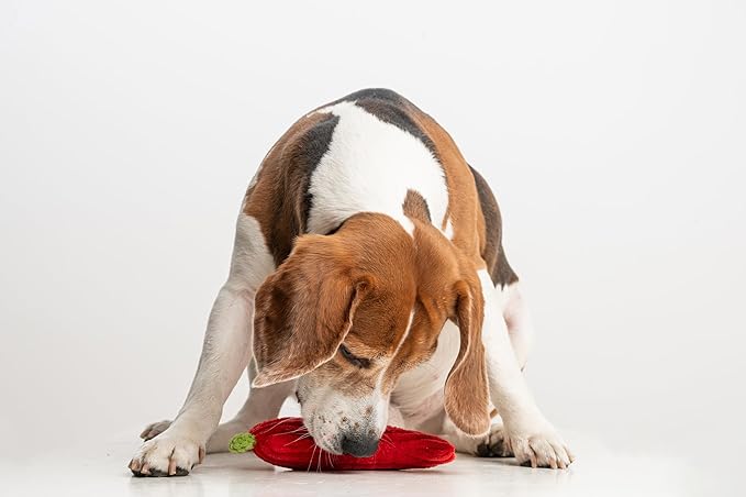 Squeaky Dog Plush Toy, Bite_Stick Collection, 8'', for Small and Medium Dogs (Red Chili)