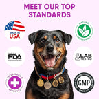 Dog Allergy Relief Chews - Omega 3 Fish Oil Skin & Coat - Itchy Skin Support Supplement - Anti Itch Immune Treats - Seasonal and Food Allergy Chews for Shedding, Hot Spot, Ears
