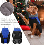 IDOMIK Dog Winter Coat, Reflective Waterproof Dog Jacket for Cold Weather, Warm Pet Coats for Small Medium Large Dogs, High Collar Doggy Fleece Snow Jacket, Winter Vest with Adjustable Buckle,S