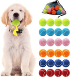Swingers Squeaky Tennis Balls for Dog,2.5 inch Training Tennis Balls,Exercise Ball for Pet Dog with Mesh Carry Bag Easy to Transport (Multicolor, 24 Pack)