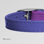 CollarDirect Leather Cat Collar, Kitten Collar with Removable Bell Black Blue Red Orange Lime Green (6-7 Inch, Purple)