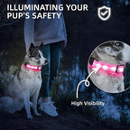 Super Bright LED Dog Collar - Fully Waterproof & Adjustable Glow Collar - USB-C Rechargeable for Night Walking, Safety - Flashing Lighted Collar for Dogs(Pink,M)