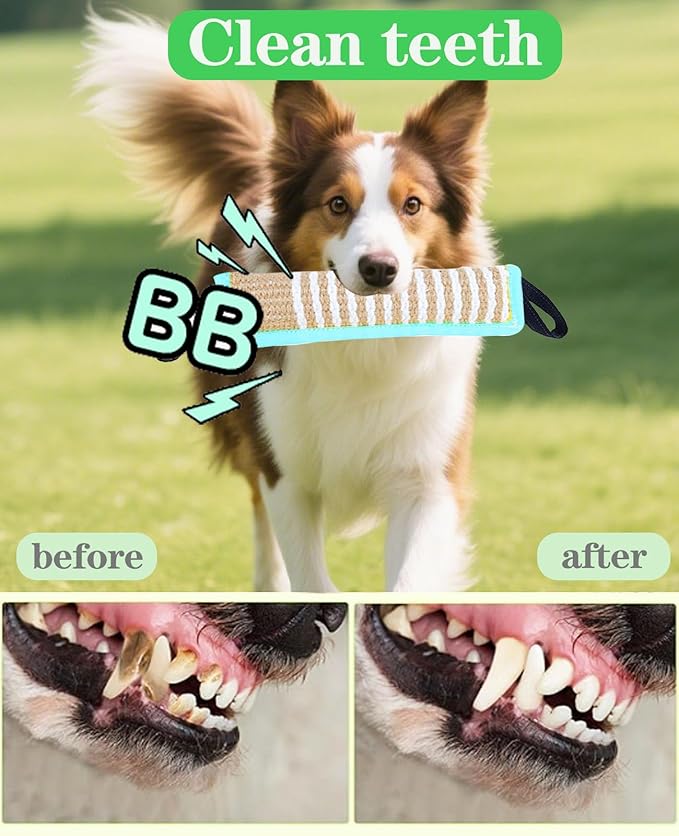 Clysoru Tug Toy for Dogs Squeaky Toy with 2 Strong Handles Lasting Training Equipment Puppy to Large Dog Interactive Toys of War Pull Indestructible Rope Pet Crinkle Teething (ciel)