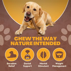 WhiteTail Naturals (3 Pack Deer Antlers for Large Dogs, Antler Dog Chews - Crafted in USA Dog Antler - Long Lasting Bone for Aggressive Chewers