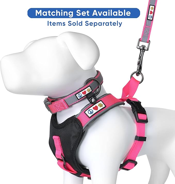 Pawtitas Personalized Dog Leash Embroidered Customize Your Pet Name & Phone Number Puppy Reflective 6 ft Long Large Pink Custom Tag Name, Pink Reflective 🔦 Padded