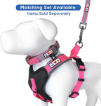 Pawtitas Personalized Dog Leash Embroidered Customize Your Pet Name & Phone Number Puppy Reflective 6 ft Long Small Pink Custom Tag Name, Pink Reflective 🔦 Padded