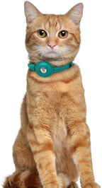 OOPSDOGGY Leather AirTag Cat Collar with Bell - Non Breakaway Kitten Collar with Apple Air Tag Holder - Lightweight GPS Pet Collars for Girl Boy Cats, Small Dogs, Puppies (Aquamarine)