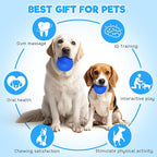 petizer 4" Squeaky Dog Balls for Aggressive Chewers, Durable Interactive Spiky Ball for Teething, Indestructible Rubber Dog Chew Toys, Tough Pet Toys for Small, Medium & Large Breeds