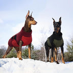 Kuoser Dog Jacket, Dog Coats for Large Dogs Winter Waterproof, Reflective Doggie Vest with Leash Hole, Cold Weather Coats Pet Snow Jacket for Labrador Beagle, Green XL